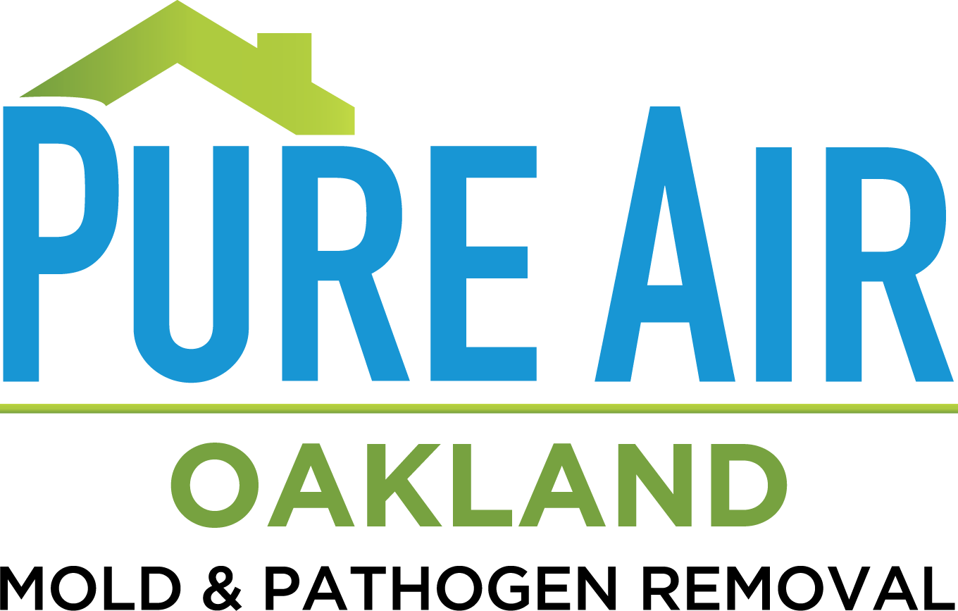 pure air mold removal oakland