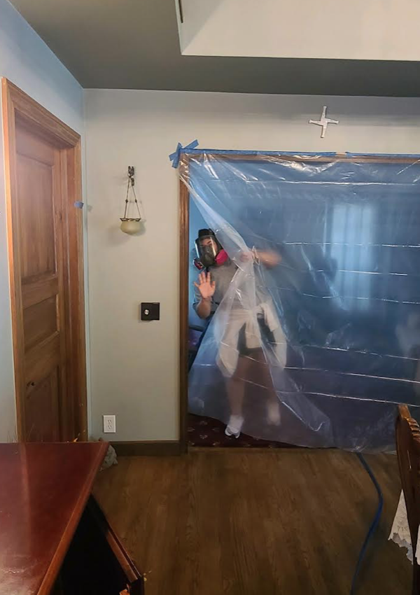 mold removal waterford mi