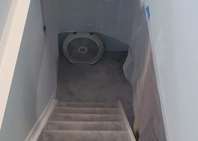 mold removal service on stairs