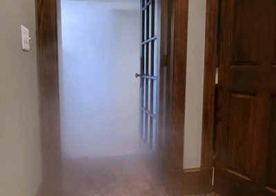 mold removal oakland