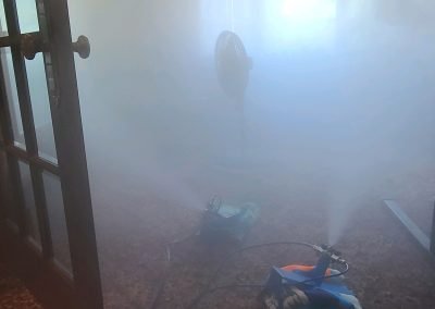 mold removal oakland